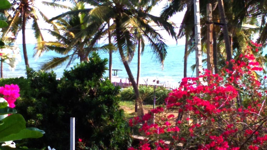 Sri Beach Bungalows And Villa 马拉维拉 外观 照片